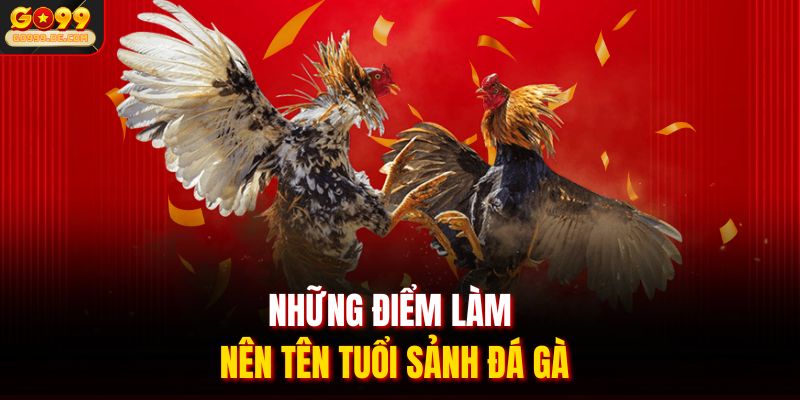 Những điểm làm nên tên tuổi sảnh đá gà