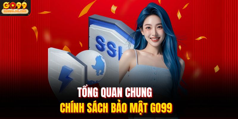 Tổng quan chung chính sách bảo mật Go99